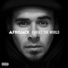 Do Or Die (Afrojack vs. THIRTY SECONDS TO MARS Remix)