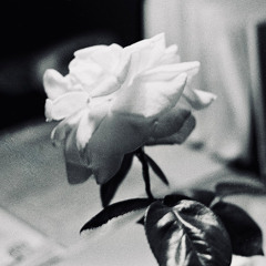 I Just Can't Stop written by Brian Redden (AI Cover)