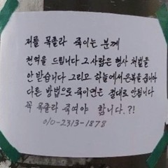 새파랗게 ㅠ.demo