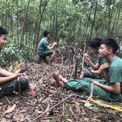 Tạm Dừng Yêu Ver 2 - Thái Hoàng Remix_1.mp3