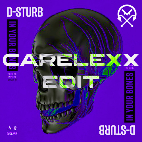 D-Sturb - In Your Bones (CARELEXX KICK EDIT)