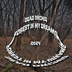 Forest In My Dreams 2024