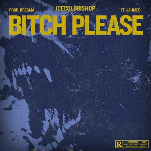 BITCH PLEASE (UNMIXED) FT. JAHMED