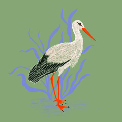 Craquettement couple de cigognes