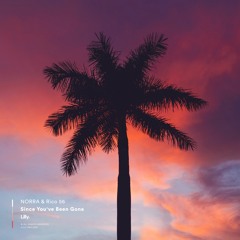 NORRA & Rico 56 - Since You've Been Gone