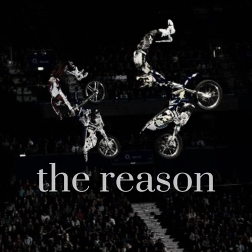 the reason