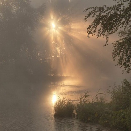 Stream walking in the fog (methboiswag) by kurtis | Listen online for free  on SoundCloud
