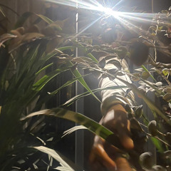 MIXTAPE HOUSELAK VIỆT MIX - MUỘN & CHƯA QUÊN NYC.mp3