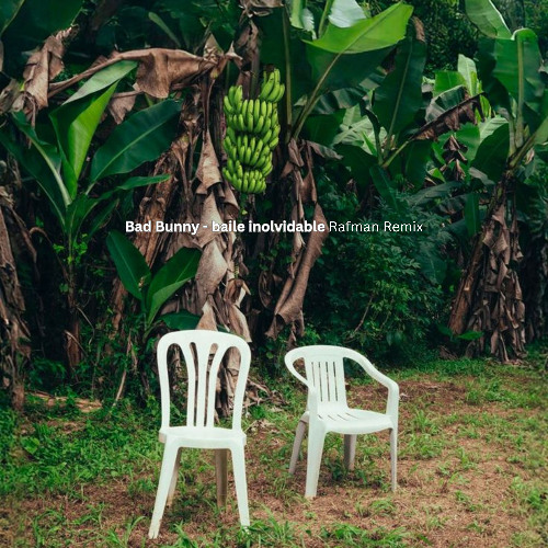 Bad Bunny - Baile Inolvidable (Rafman Remix)