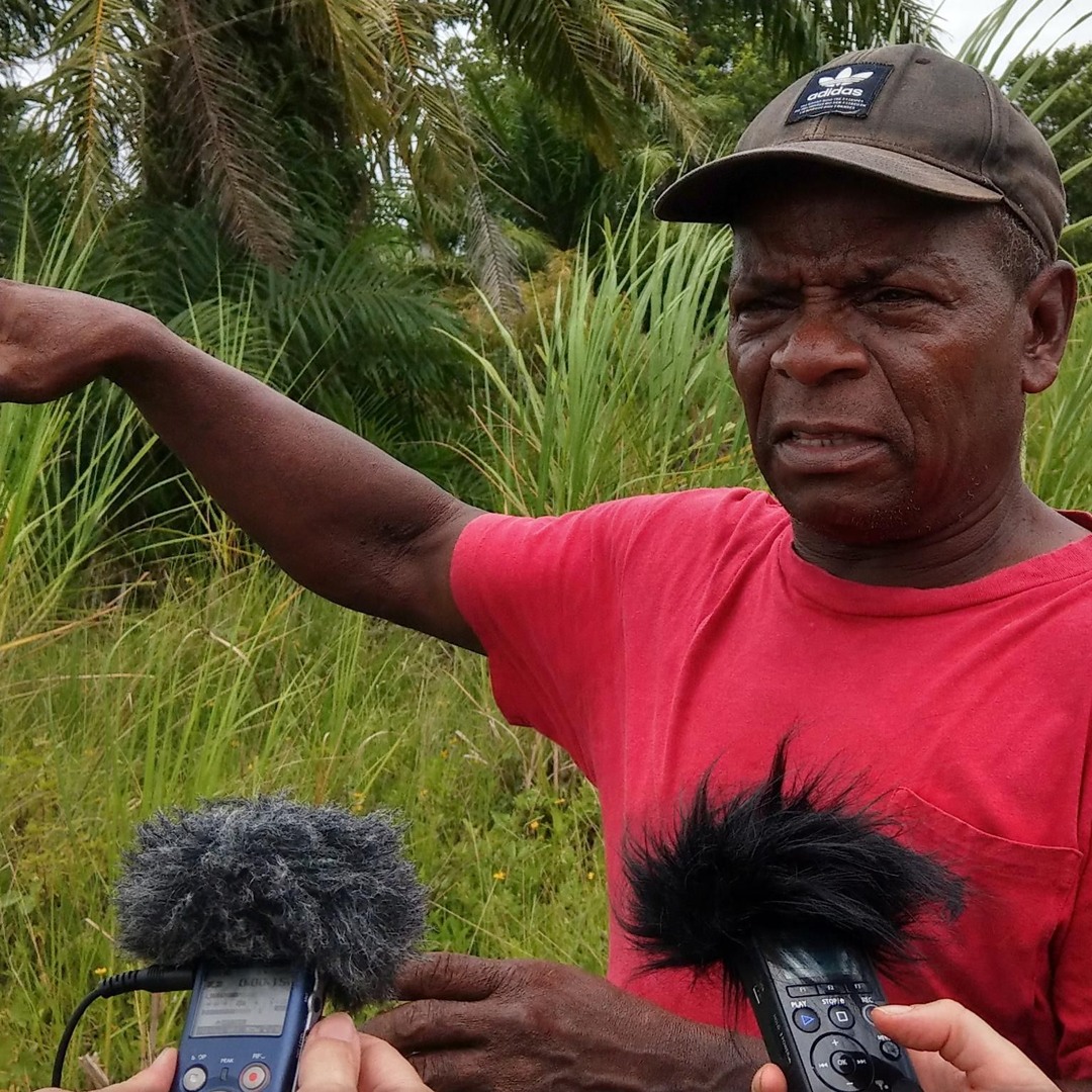 Reise nach Triunfo de la Cruz, eine afroindigene Gemeinde in Honduras