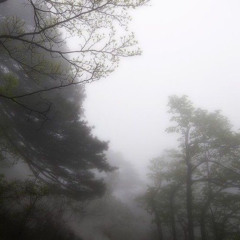 silent reverie