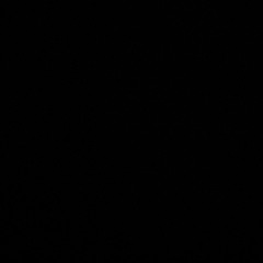 freestyle (raw vocalz)