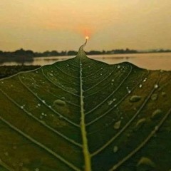 SELURUH CINTA - 2020 ( Irwan Mix ) #Req Iwan Anggarta