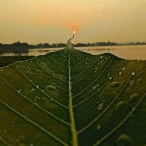 SELURUH CINTA - 2020 ( Irwan Mix ) #Req Iwan Anggarta