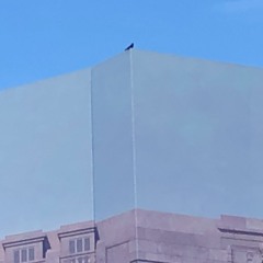Raven on a Billboard | sonic speculative fiction