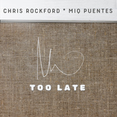 Too Late (Extended Mix)