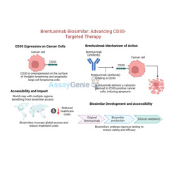 Brentuximab Unveiling the Role of Anti-CD30 in Cancer Research