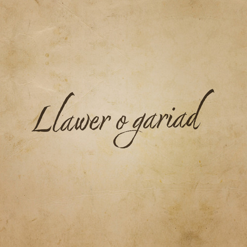 Llawer o Gariad