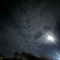 CANTWAIT (feat Timmy T.R.A)