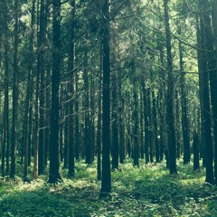 Log_20211005