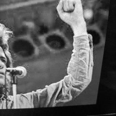 The Trap Song of indifference