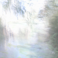 III