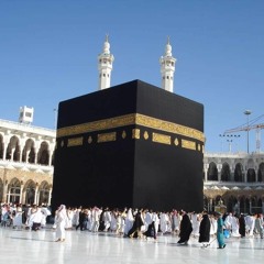 غدا نأتي و نعتمر_ أداء أسامه السلمان _ كلمات أمل الشقير .mp3
