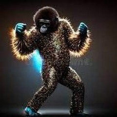 disco house jan 24