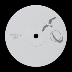 Seagull
