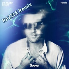DT James & Kimbo - Voices (RAZZLE Remix)