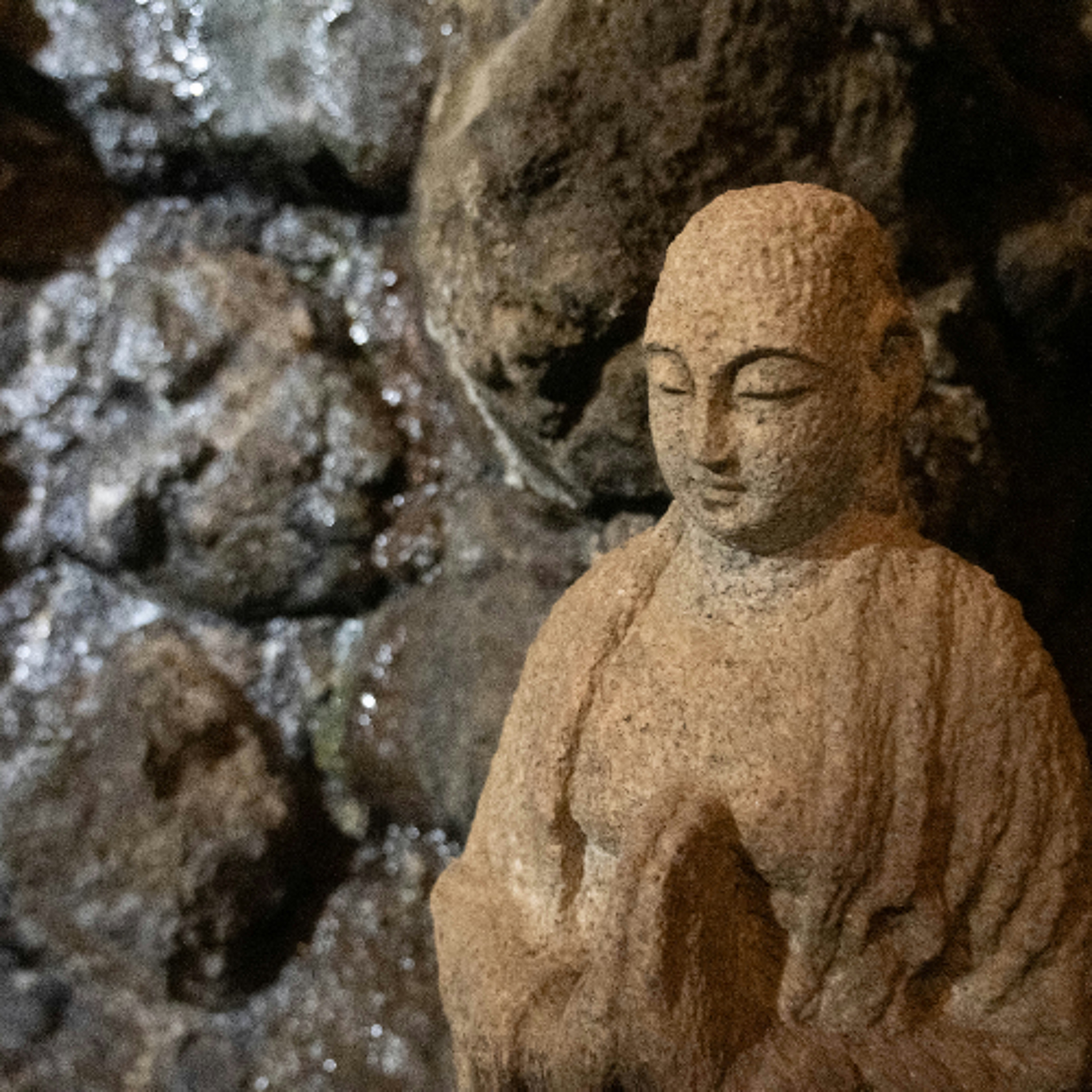 Ep. 550 Riflessioni sulla felicità degli esseri