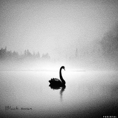 Black SwaNNN (Prod: L. David)