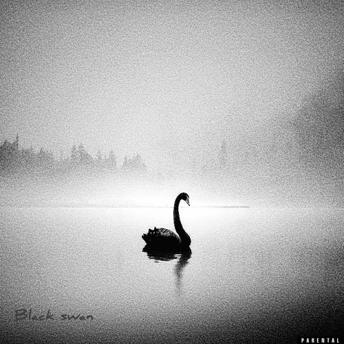 Black SwaNNN (Prod: L. David)