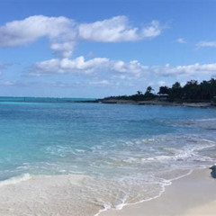 Review Special Price Providenciales Unmissable Sightseeing Tour
