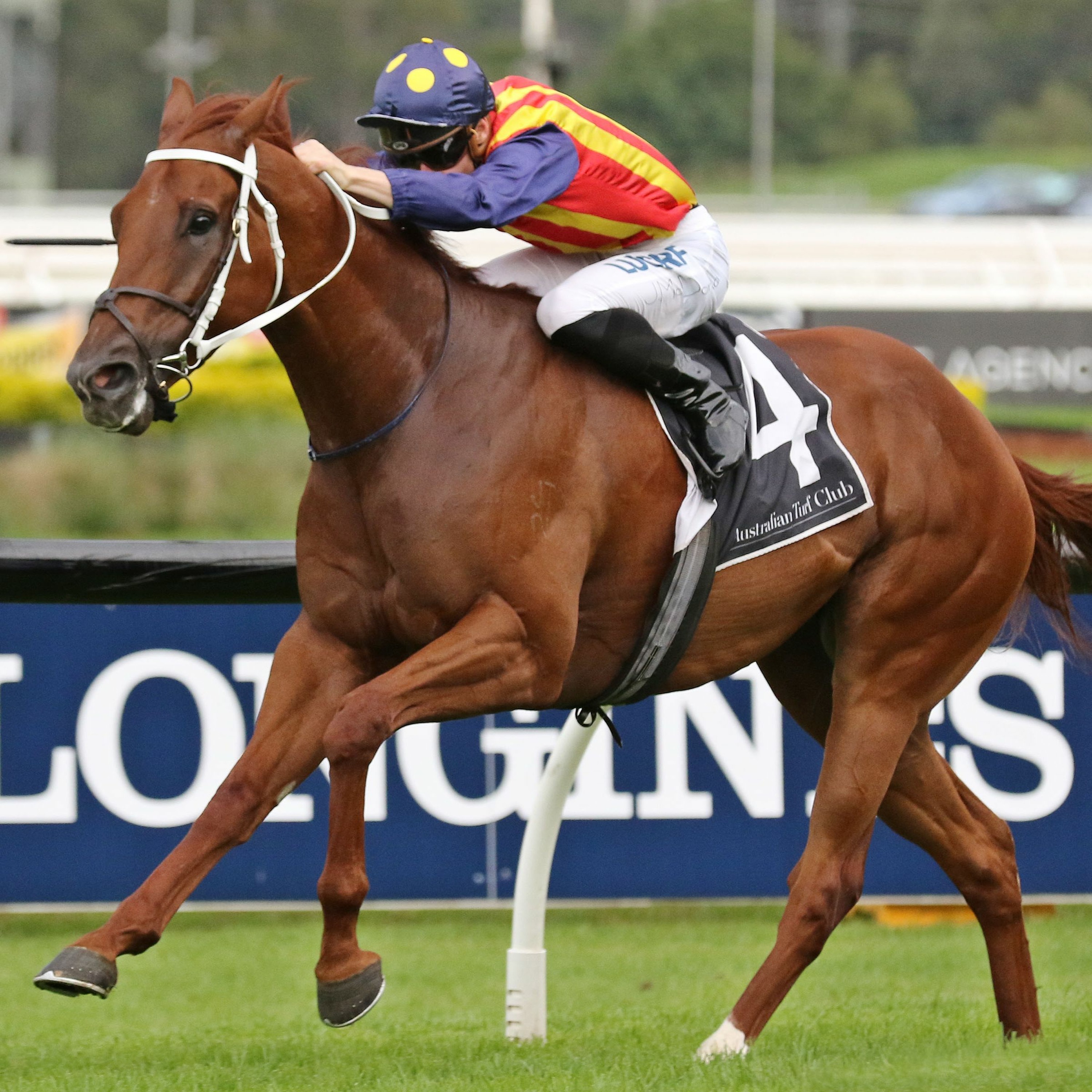 Chelmsford Stakes Day Punting Preview