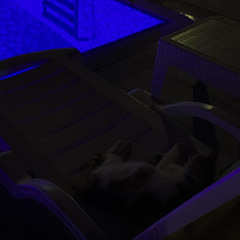 Batu INC. - Birader (ebo diss)