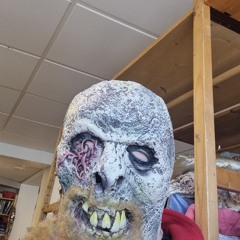 Laplandgirl in full bloom