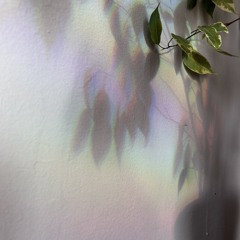 FROM THE VAULT: Shadow of Summer