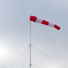 Der Wind drückt ganz schön (feat. Oma B.)