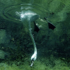 DJ 4 DA GIRLS❣️🧸