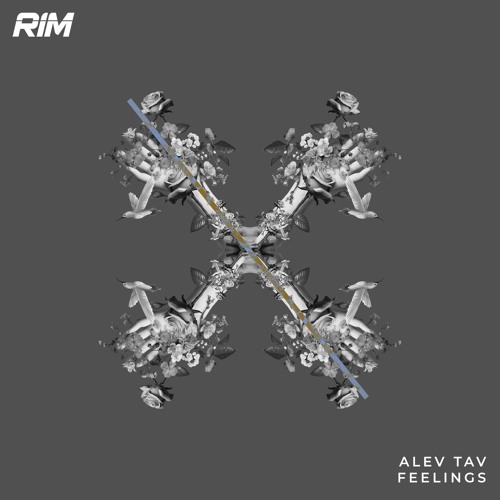 Alev Tav - The Rhythm