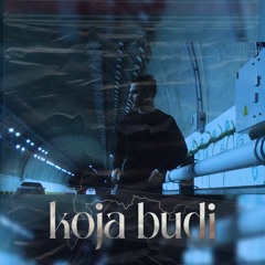 KOJA BUDI-TECNESI