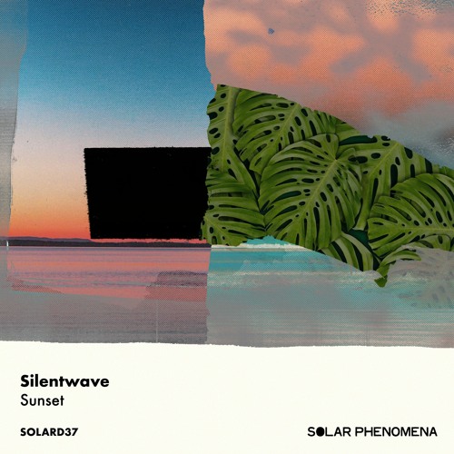 Silentwave - Crowd Dance