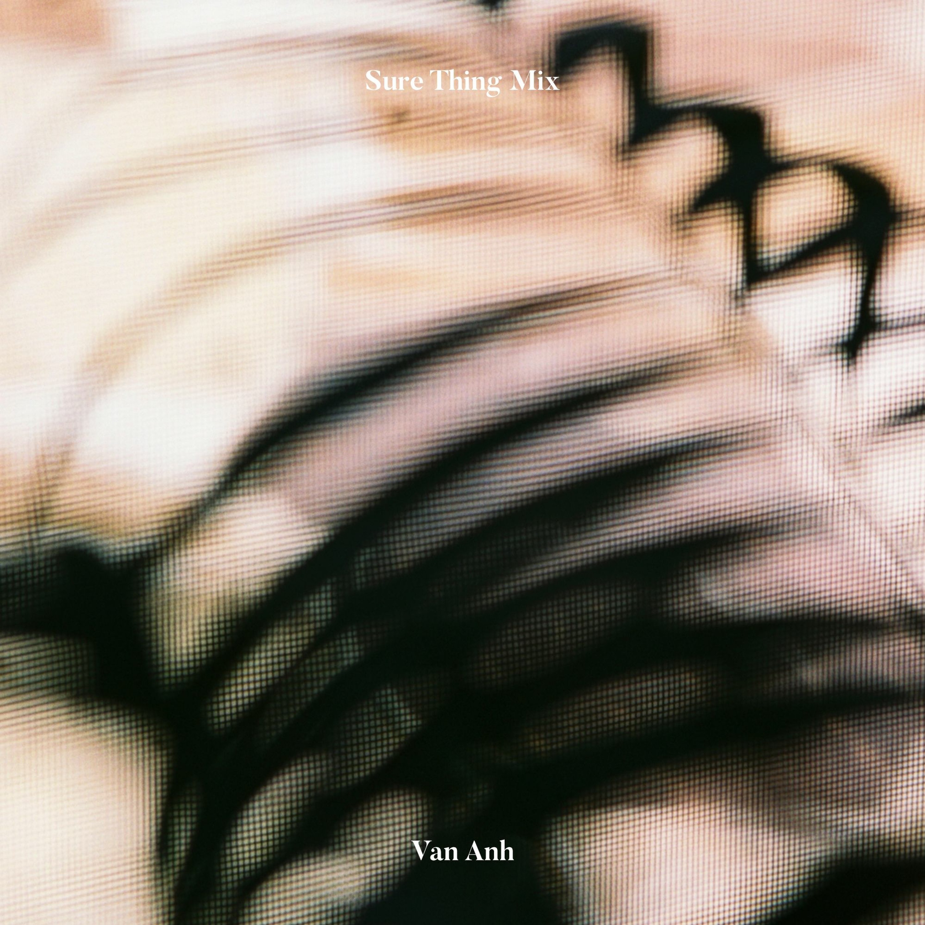 Sure Thing Mix 107: Van Anh