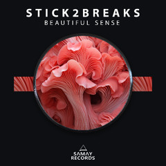 Stick2Breaks - Beautiful Sunset (Samay Records)