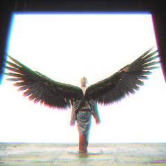 fly with me — millennium parade (slowed + reverb)