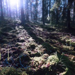 Skogen