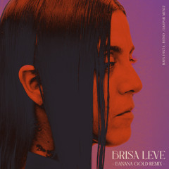 Rafa Pinta - Brisa Leve (Banana Gold Remix)