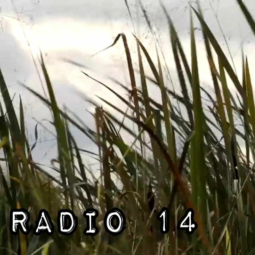 Radio 14 (Shi) - Nguyễn Đình Toàn