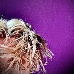 Purple Thoughts prod. by verize